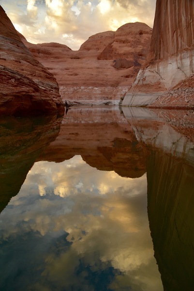 Reflection Canyon at dawn Print