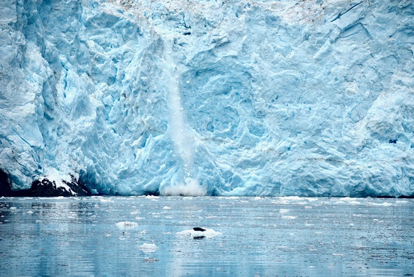 JCA 1499 by Tom Fritz