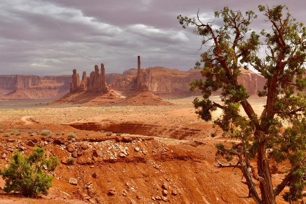 Monument Valley Totem Pole & Yei Bi Chei by Tom Fritz