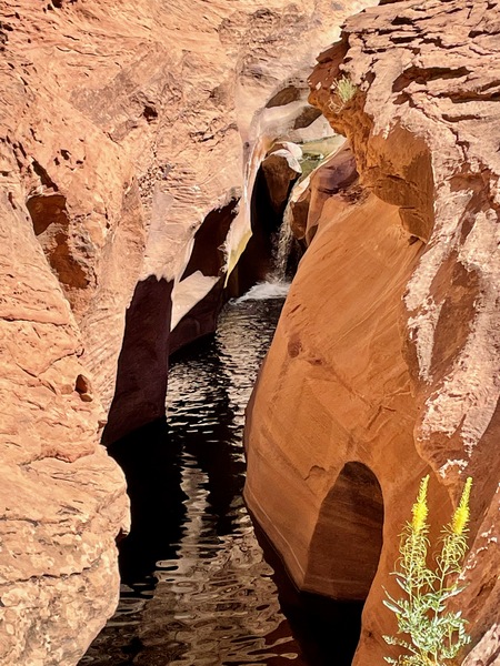 Kane Creek Print