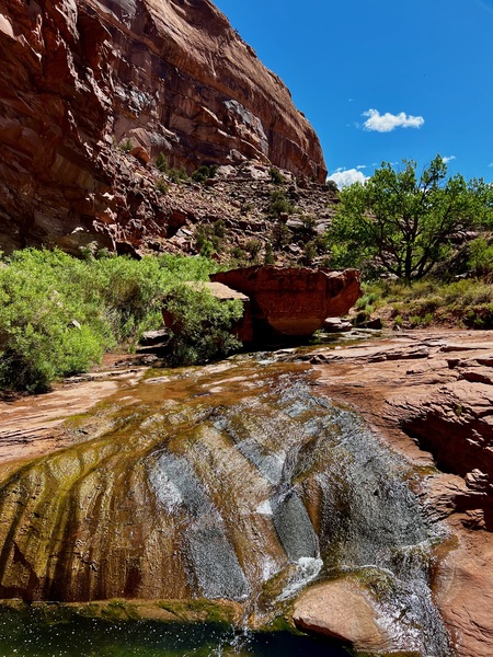 Kane Creek Flow Print