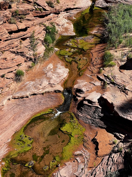 Kane Creek from Above by Tom Fritz