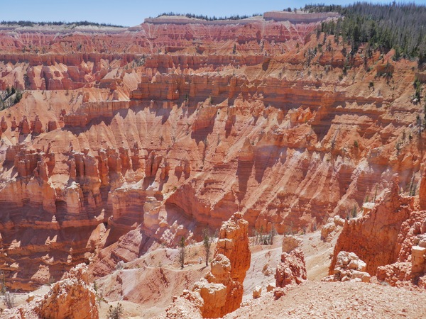 Cedar Breaks Rock Spires by Tom Fritz