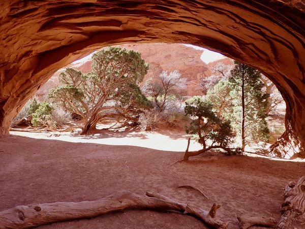 Private Arch by Tom Fritz