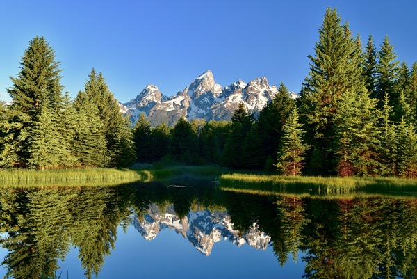 Teton Peaks  and cove reflection by Tom Fritz