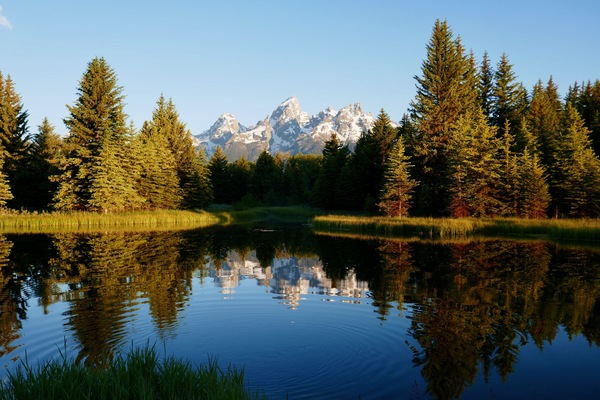 Tetons Reflected in Cove Rippled by Tom Fritz