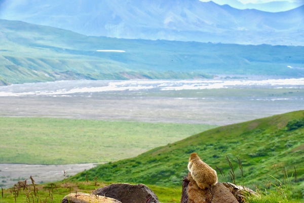 Version 2 18 by Tom Fritz