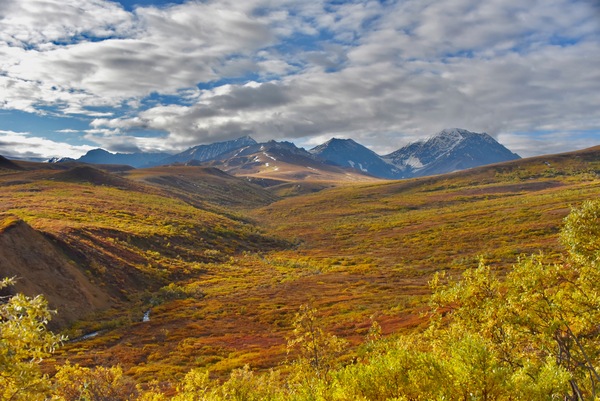 Version 2 54 by Tom Fritz