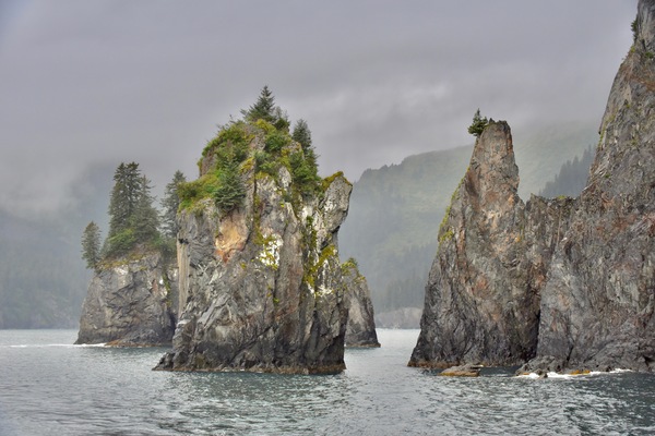 Version 2 60 by Tom Fritz