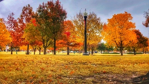 Campus Autumn