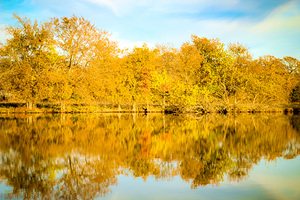 Autumn Reflection