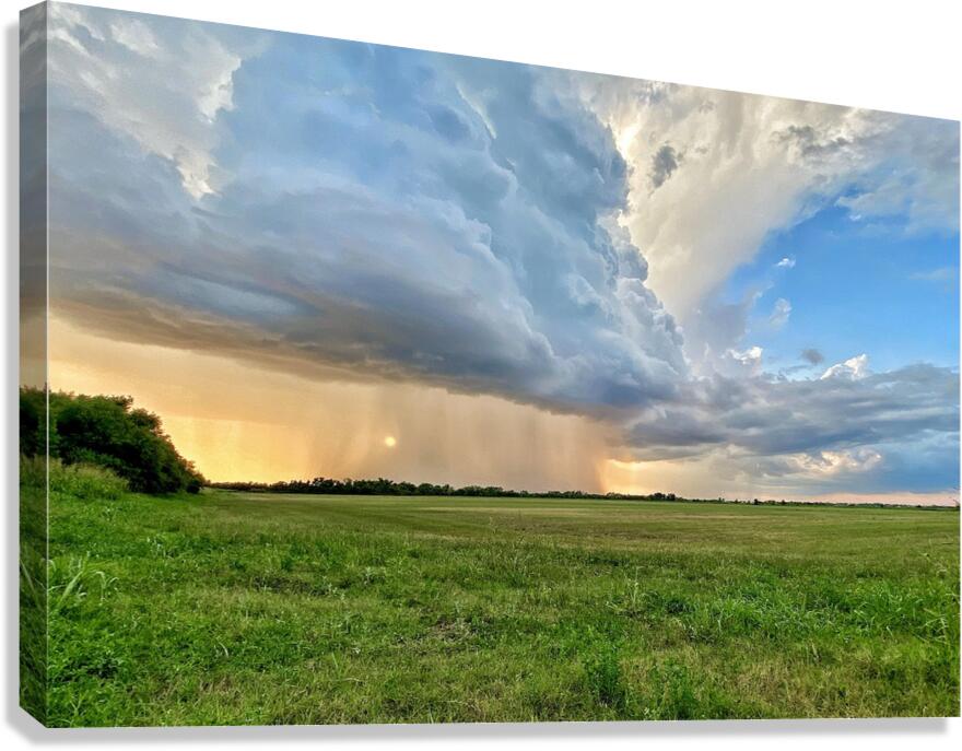 Rolling in Canvas Print