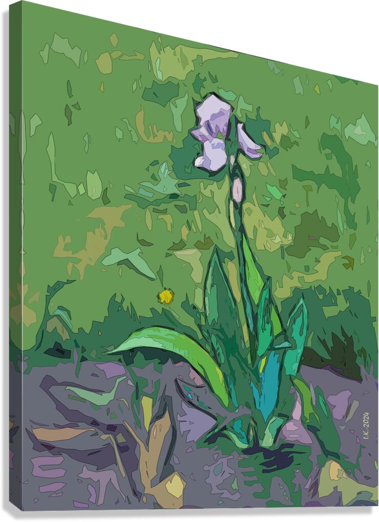 Iris[d] Canvas Print