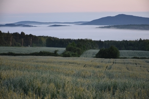 A fog on a summer morning