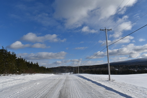 A country road in winter