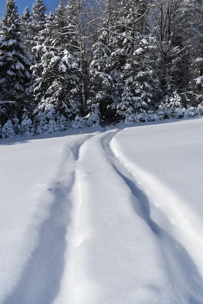 Tracks in a field in winter by Laprise