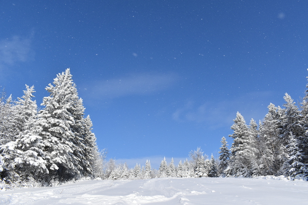 A snowy field under a blue sky by Laprise