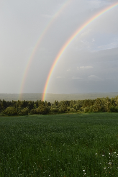 A rainbow after the storm by Laprise