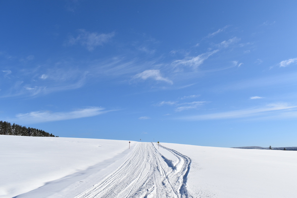 A field in winter Print