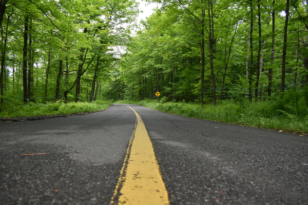 A country road in summer by Laprise