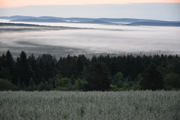 A fog on a summer morning by Laprise