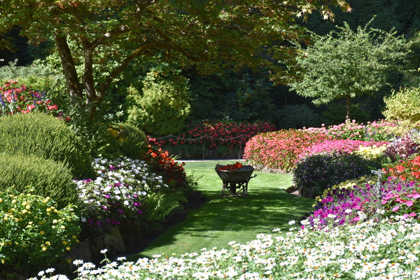 The garden in summer by Laprise