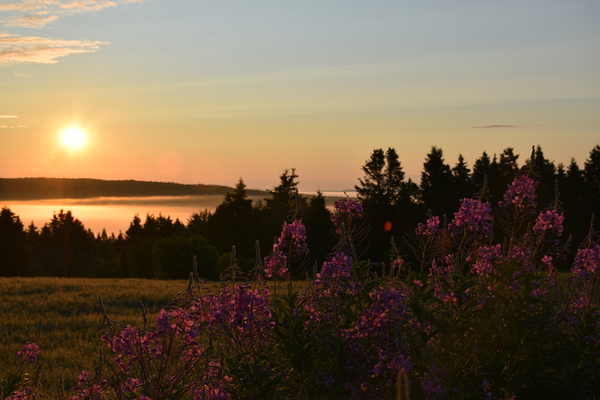 A sunrise on an autumn morning by Laprise