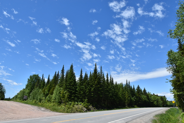 A country road in summer by Laprise