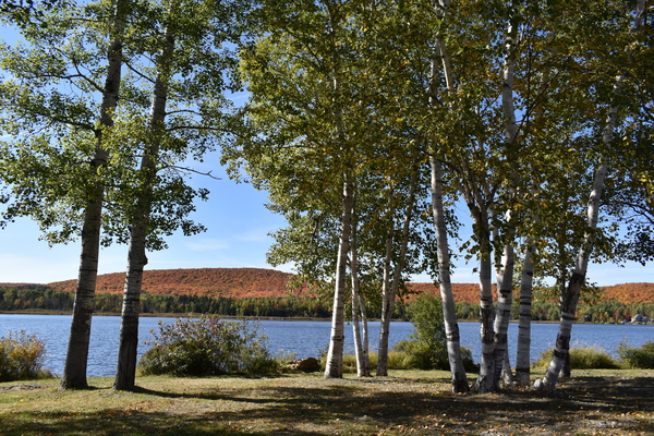 The lake in autumn by Laprise