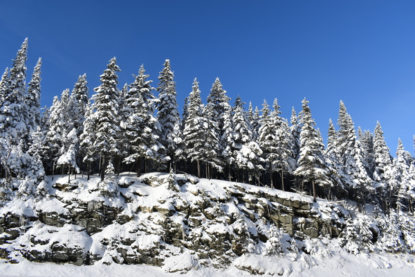 Blue skies in winter by Laprise