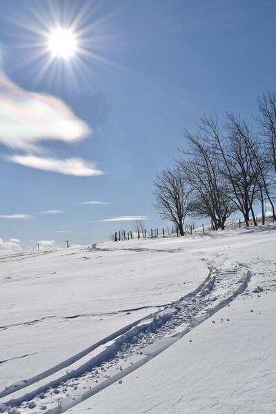 A snowmobile trail in a field by Laprise