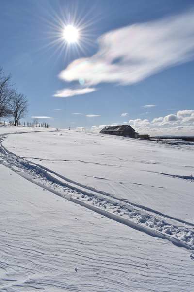 A snowmobile trail in a field in winter by Laprise