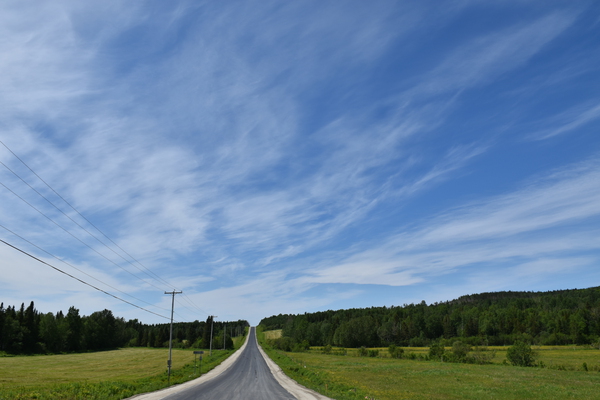 A country road in summer by Laprise