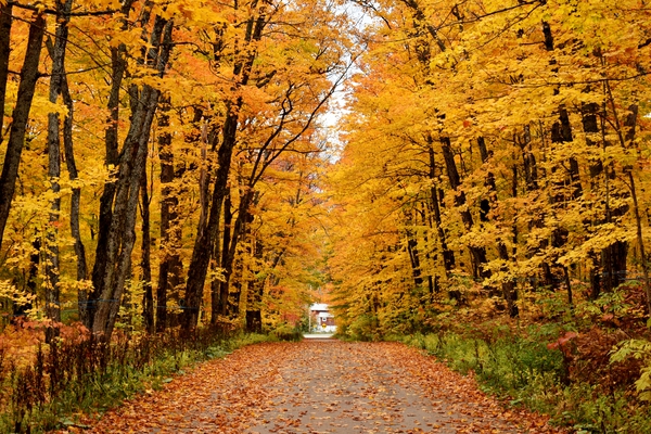 A country road in autumn by Laprise