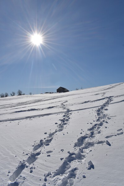 Footprints in the snow by Laprise