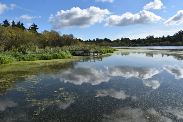 The lake in summer by Laprise
