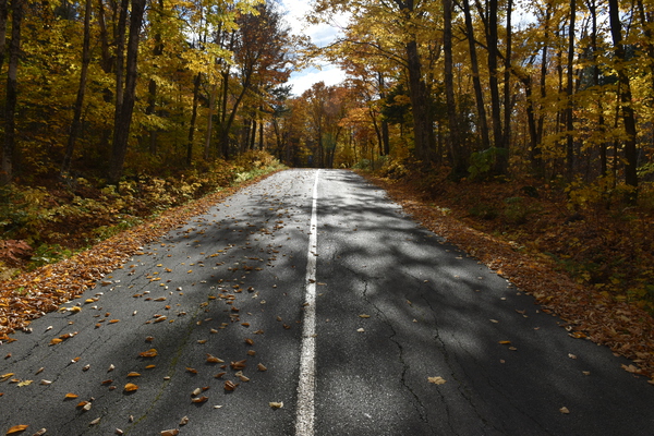 A country road in autumn by Laprise