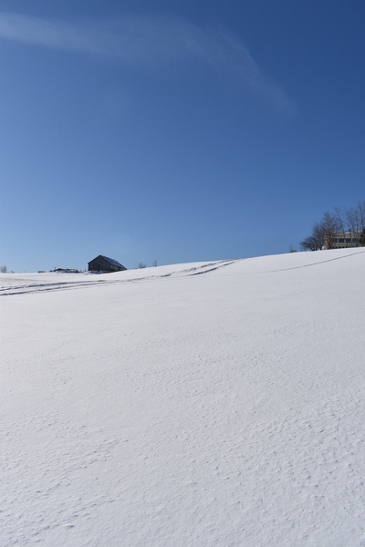 A field in winter Print