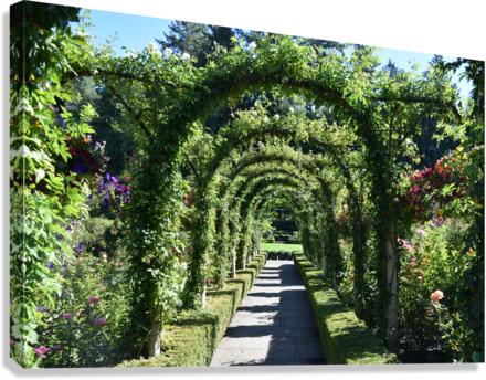 A garden path Canvas Print