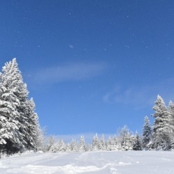 A snowy field under a blue sky