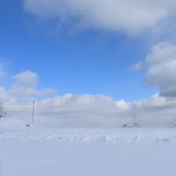 A field in winter under a blue sky
