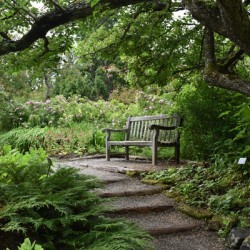 A trail in the Reford Garden