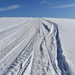 A snowmobile trail in a field