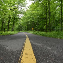 A country road in summer