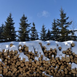 A cord of wood in winter
