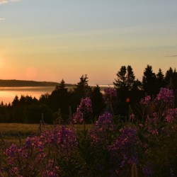 A sunrise on an autumn morning