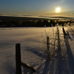 A sunrise on a cold morning