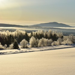A sunrise on a cold morning