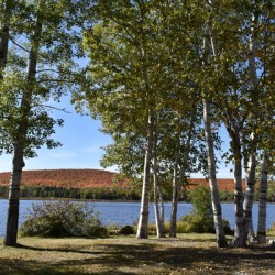 The lake in autumn