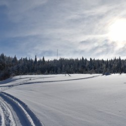A snowmobile trail in a field